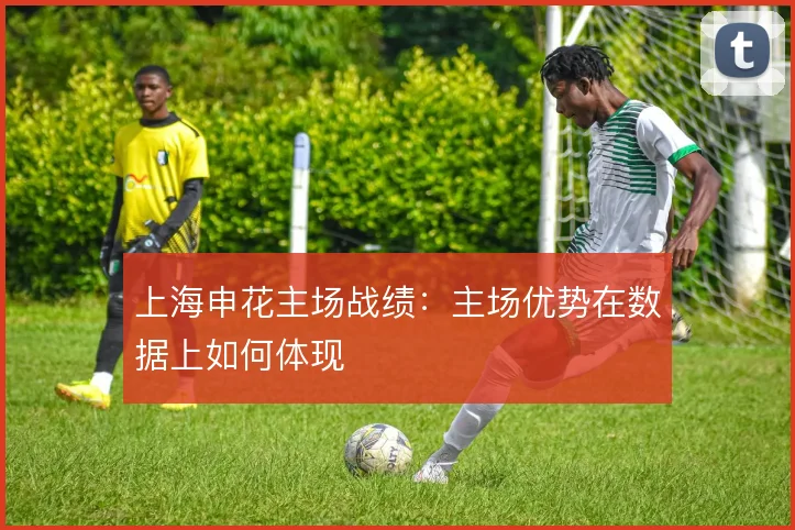 上海申花主场战绩：主场优势在数据上如何体现