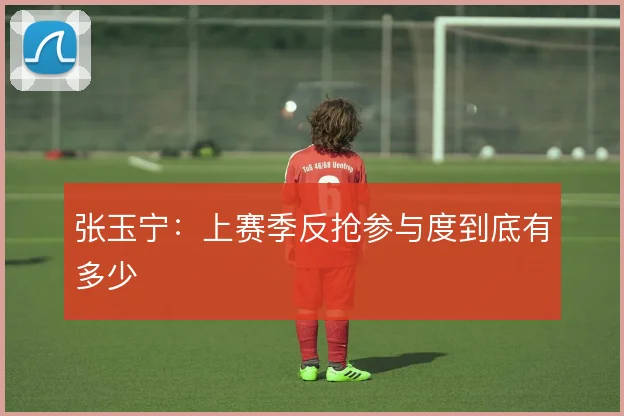 张玉宁：上赛季反抢参与度到底有多少